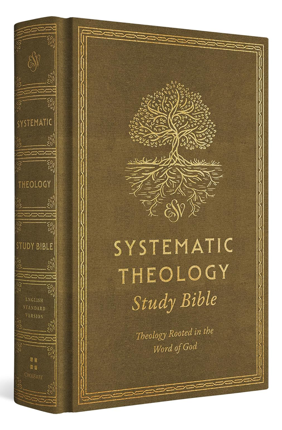 Systematic Theology Study Bible